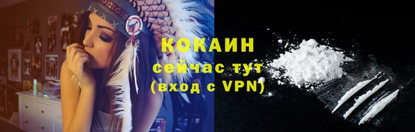 мдпв Горно-Алтайск