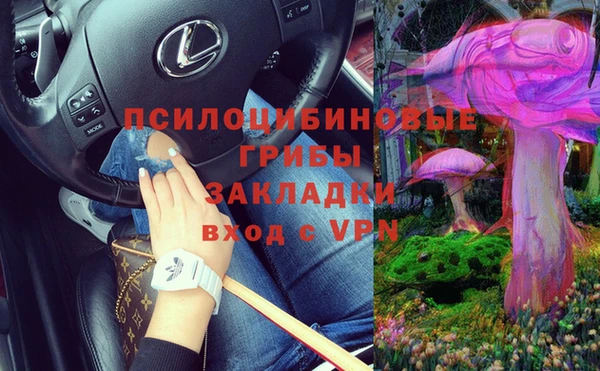 мдпв Горно-Алтайск