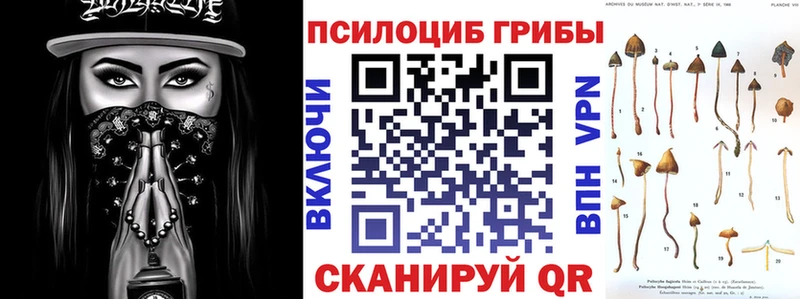 мега ONION  Воронеж  Галлюциногенные грибы Cubensis 