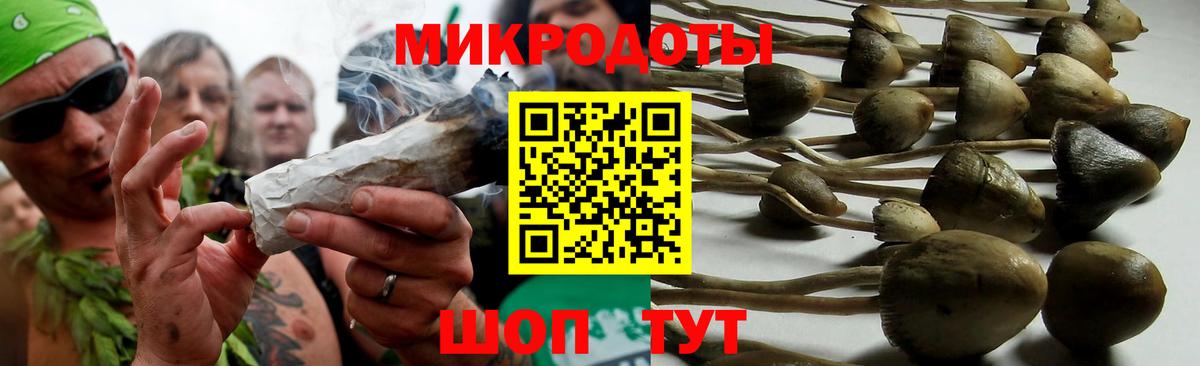 Псилоцибиновые грибы мухоморы  Воронеж 